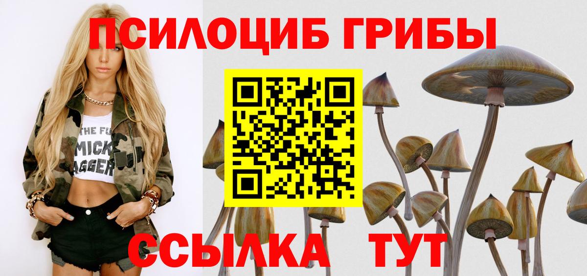 Псилоцибиновые грибы прущие грибы  Вход с VPN  Галлюциногенные грибы GOLDEN TEACHER  Балашов 