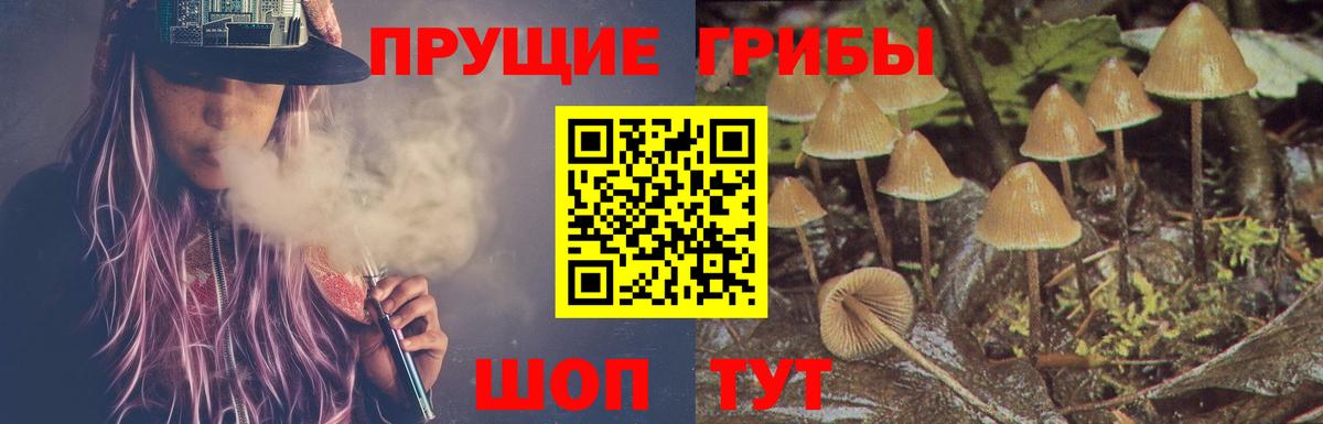 Галлюциногенные грибы прущие грибы Балашов